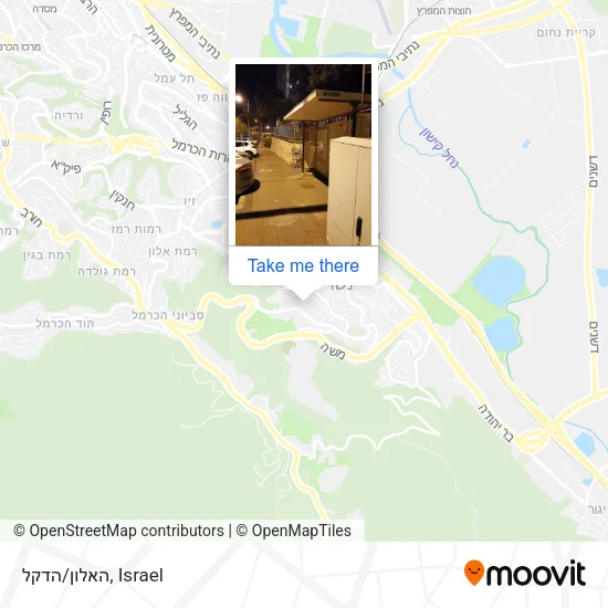 Карта האלון/הדקל