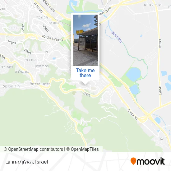 Карта האלון/החרוב