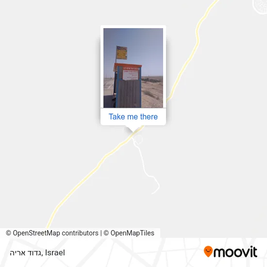 Карта גדוד אריה