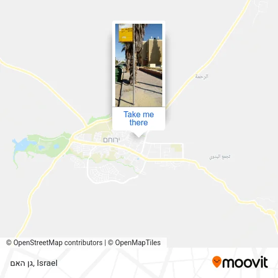 Карта גן האם