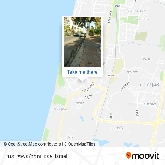 Карта אמנון ותמר/מעפילי אגוז