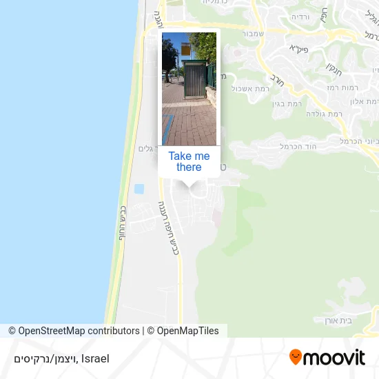 Карта ויצמן/נרקיסים