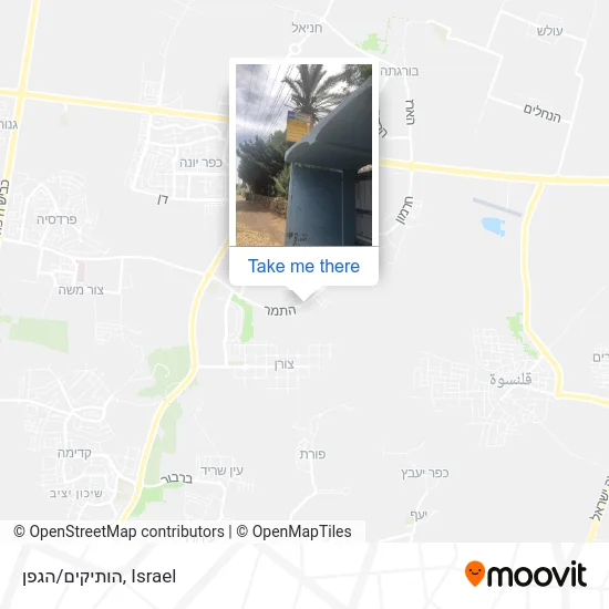 Карта הותיקים/הגפן