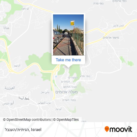הגיתית/הענבל map