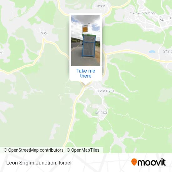 Leon Srigim Junction map