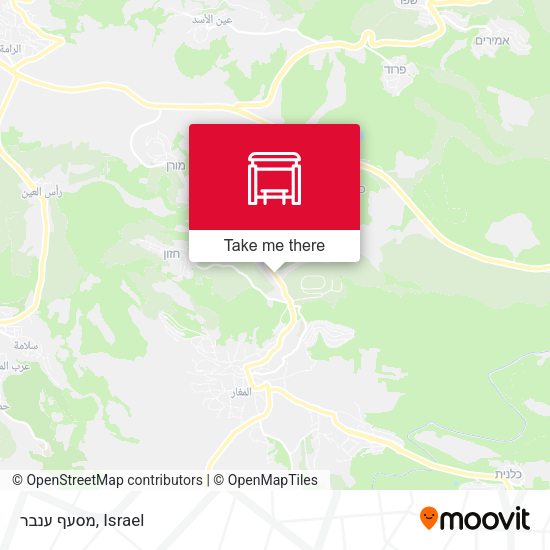 Карта מסעף ענבר