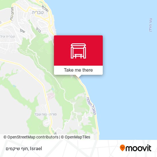 חוף שיקמים map