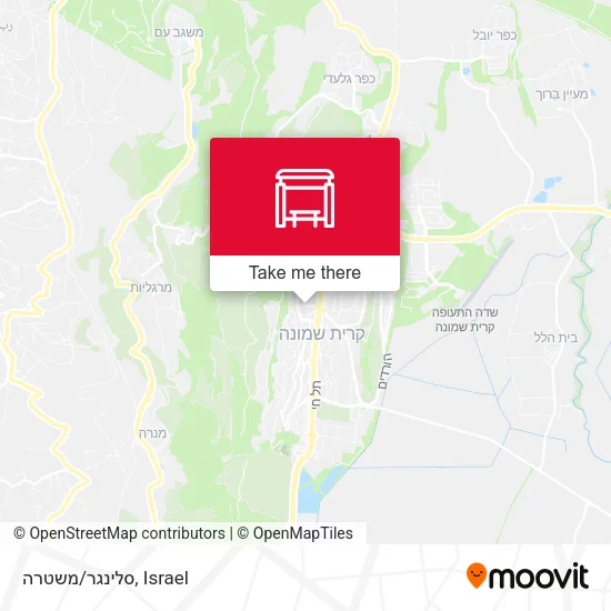 סלינגר/משטרה map