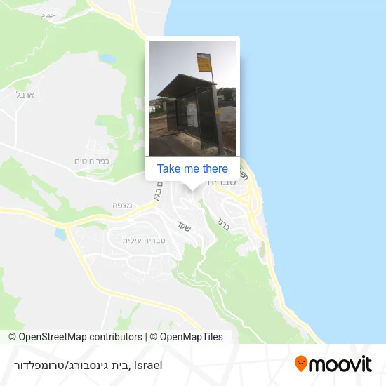 Карта בית גינסבורג/טרומפלדור