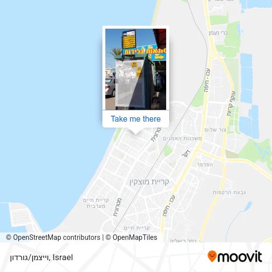 וייצמן/גורדון map