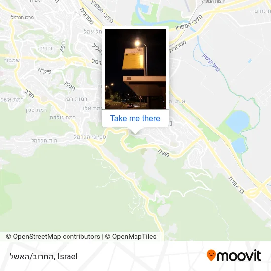 Карта החרוב/האשל