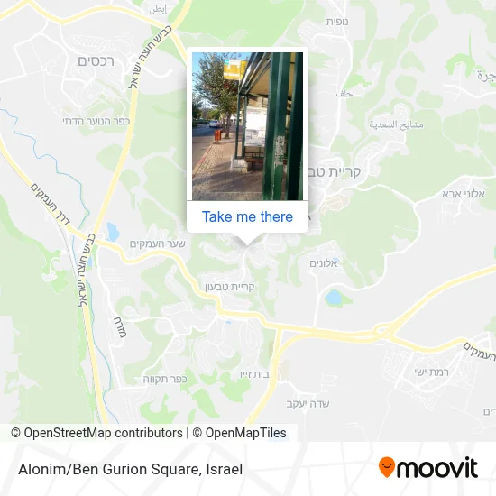 Alonim/Ben Gurion Square map