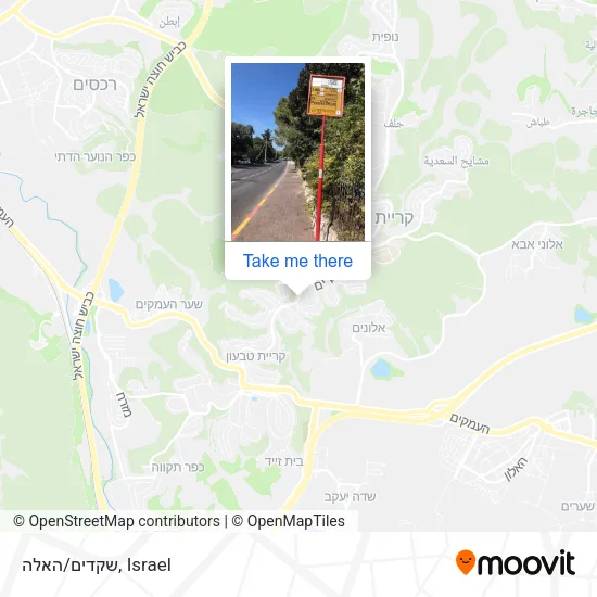 Карта שקדים/האלה