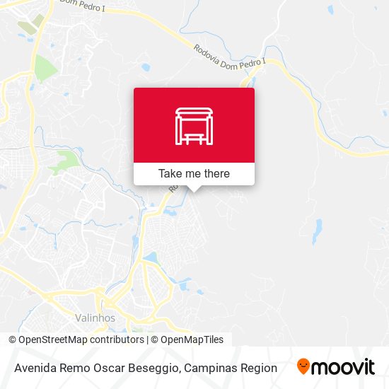 Avenida Remo Oscar Beseggio map