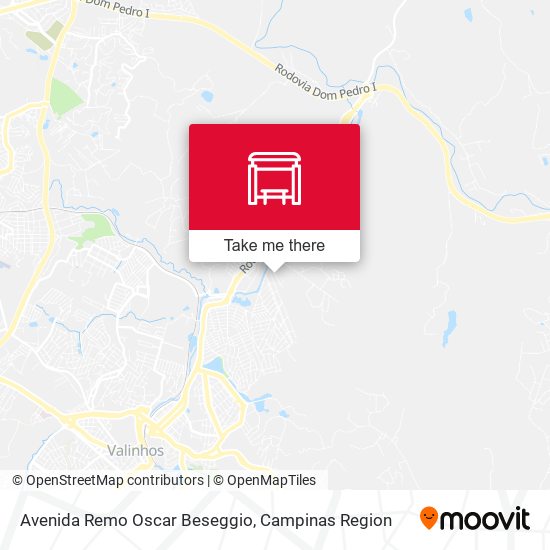 Avenida Remo Oscar Beseggio map
