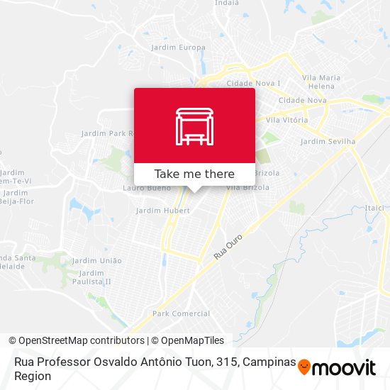 Rua Professor Osvaldo Antônio Tuon, 315 map