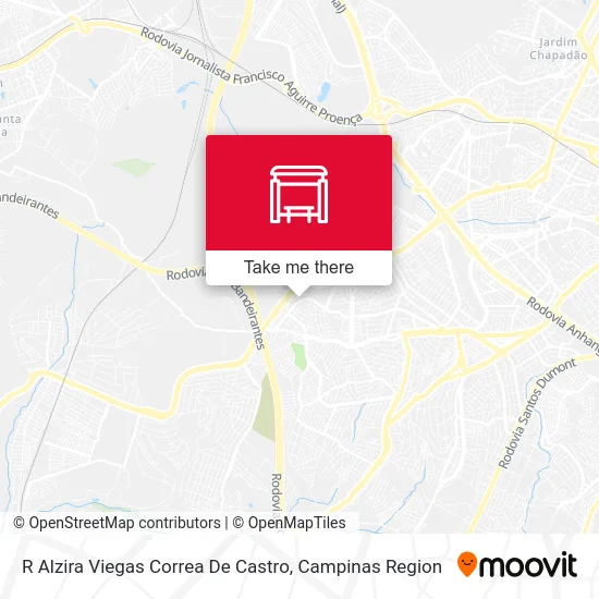 R Alzira Viegas Correa De Castro map