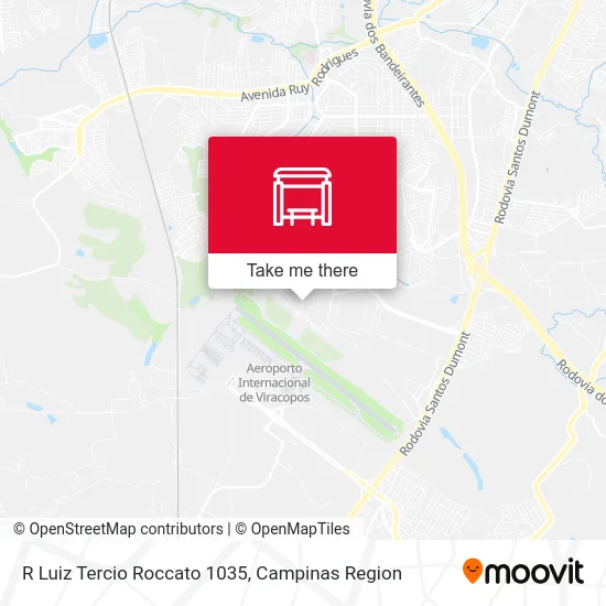 R Luiz Tercio Roccato 1035 map