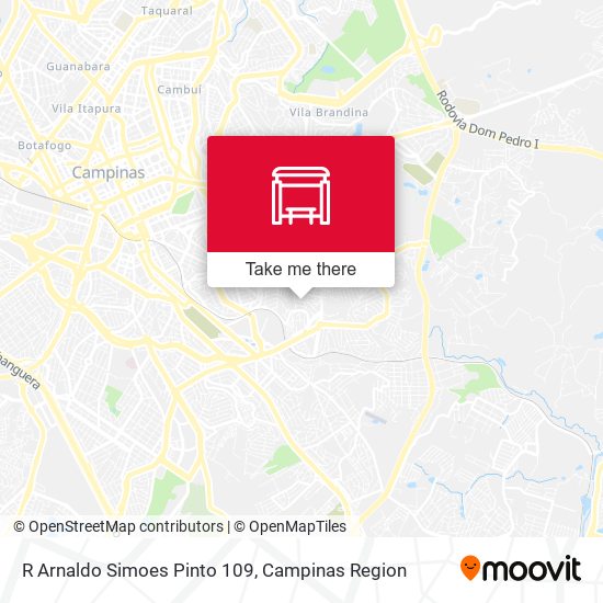 R Arnaldo Simoes Pinto 109 map