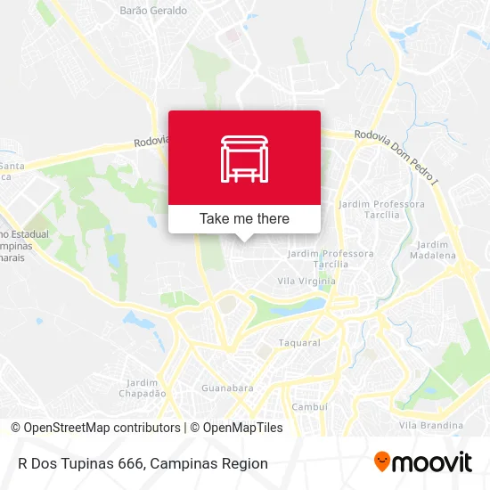 R Dos Tupinas 666 map