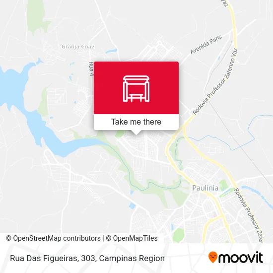 Rua Das Figueiras, 303 map