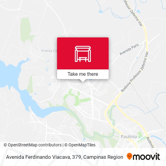 Avenida Ferdinando Viacava, 379 map