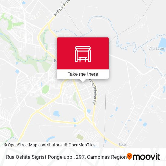Rua Oshita Sigrist Pongeluppi, 297 map