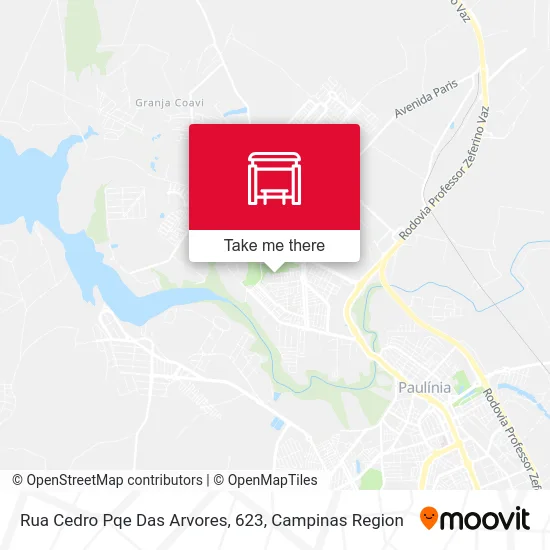 Rua Cedro Pqe Das Arvores, 623 map