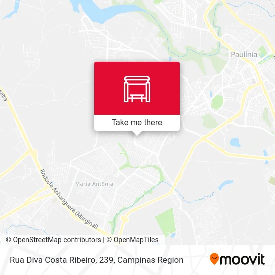 Rua Diva Costa Ribeiro, 239 map