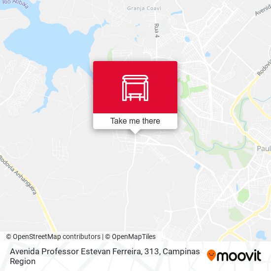 Avenida Professor Estevan Ferreira, 313 map