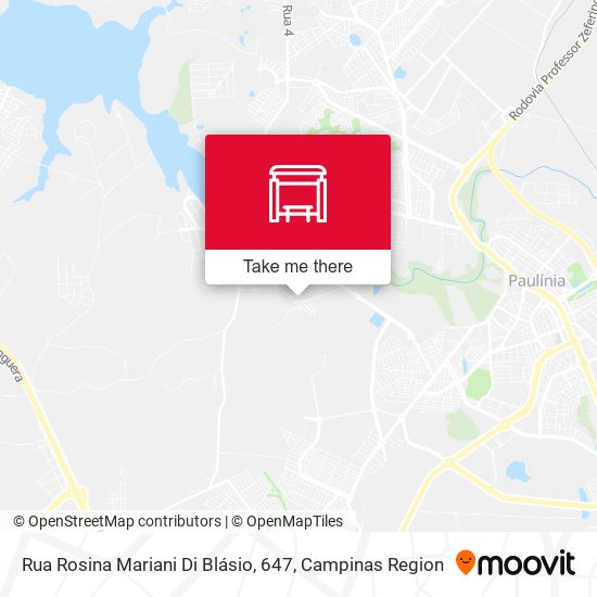 Rua Rosina Mariani Di Blásio, 647 map
