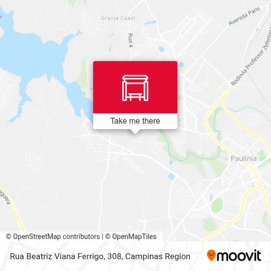 Rua Beatriz Viana Ferrigo, 308 map