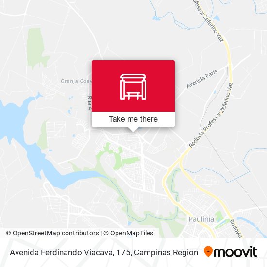 Avenida Ferdinando Viacava, 175 map