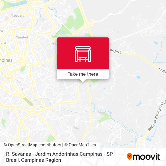 R. Savanas - Jardim Andorinhas Campinas - SP Brasil map