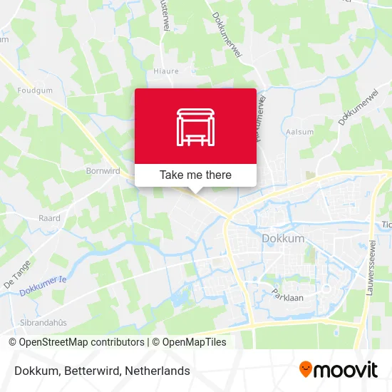 Dokkum, Betterwird map
