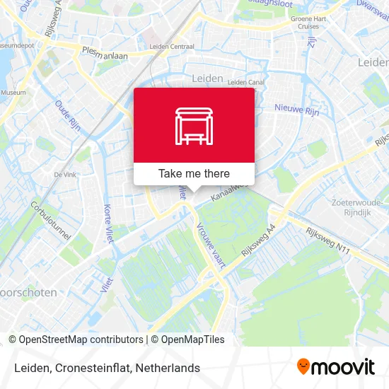 Leiden, Cronesteinflat map