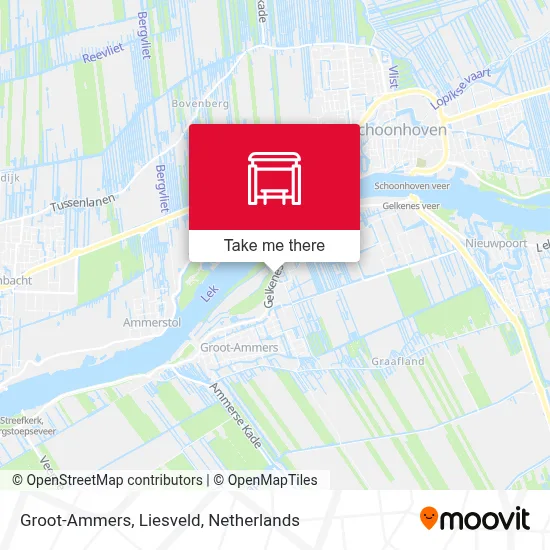 Groot-Ammers, Liesveld map