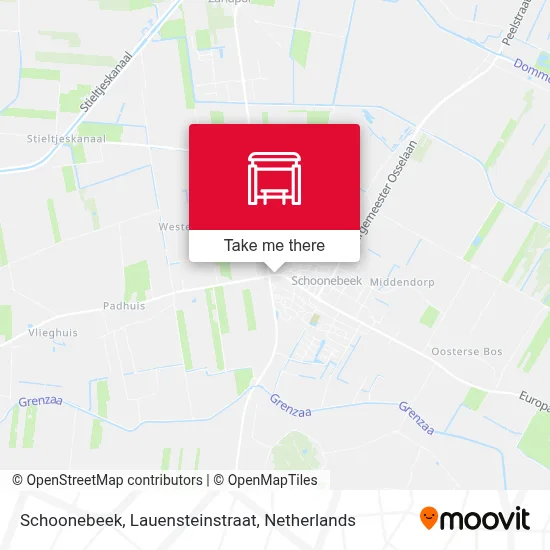 Schoonebeek, Lauensteinstraat map