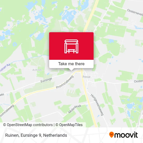 Ruinen, Eursinge 9 map