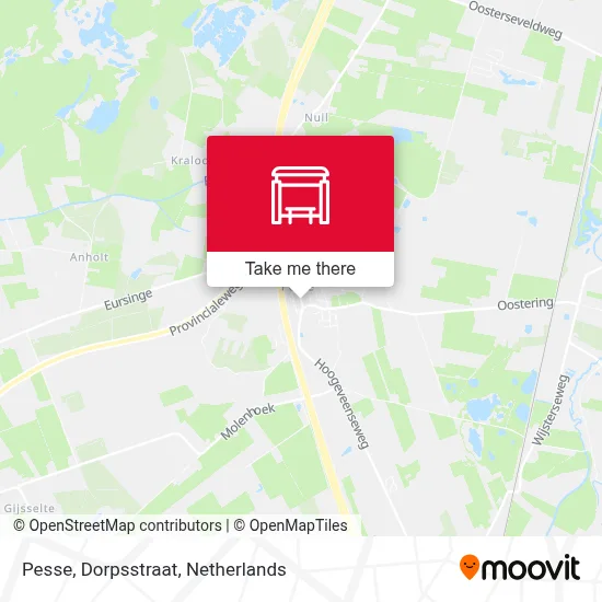 Pesse, Dorpsstraat Karte