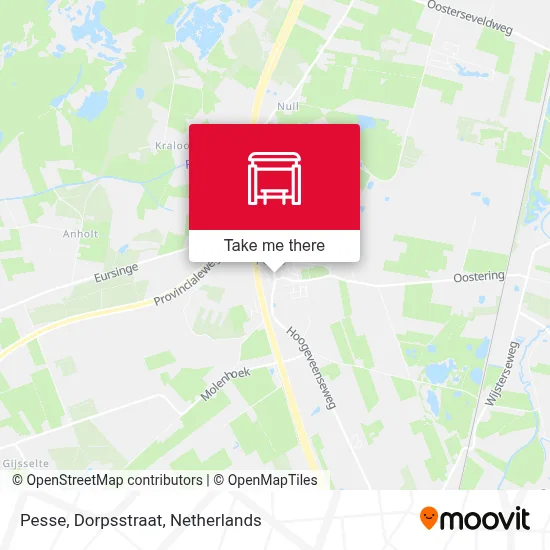 Pesse, Dorpsstraat Karte