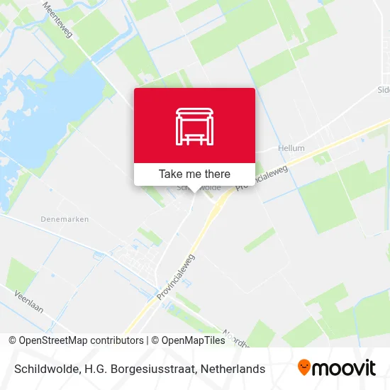 Schildwolde, H.G. Borgesiusstraat map