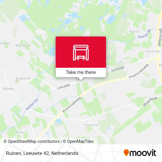 Ruinen, Leeuwte 42 map