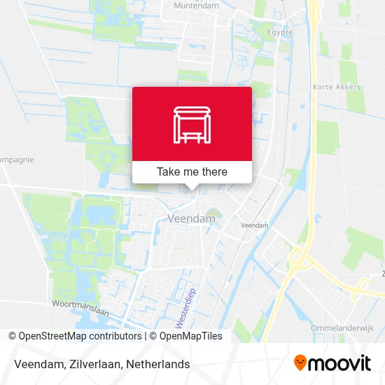 Veendam, Zilverlaan map