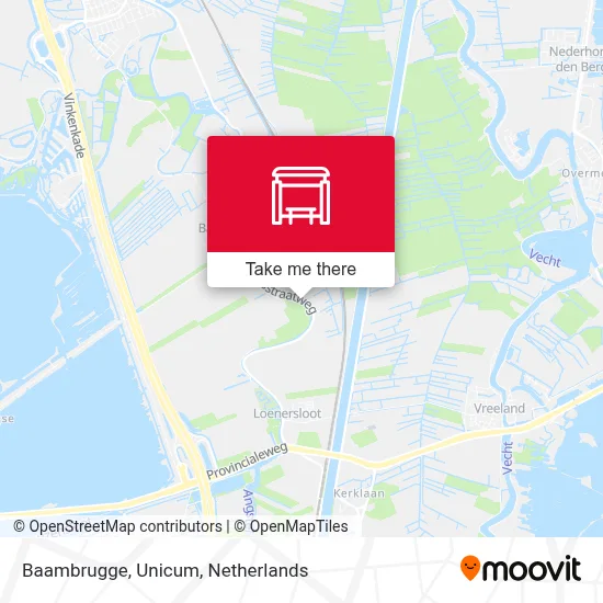 Baambrugge, Unicum map