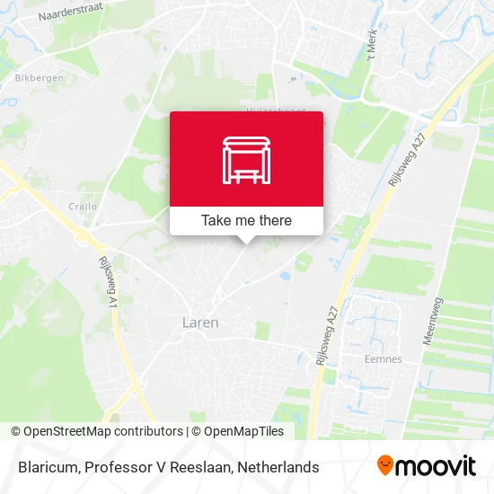 Blaricum, Professor V Reeslaan map