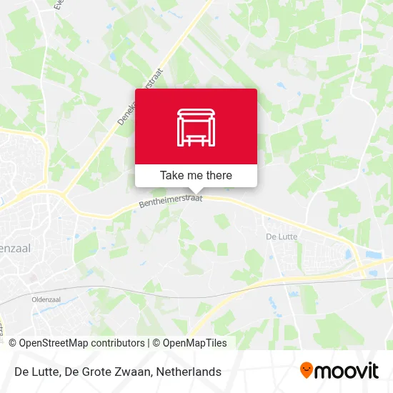 De Lutte, De Grote Zwaan map