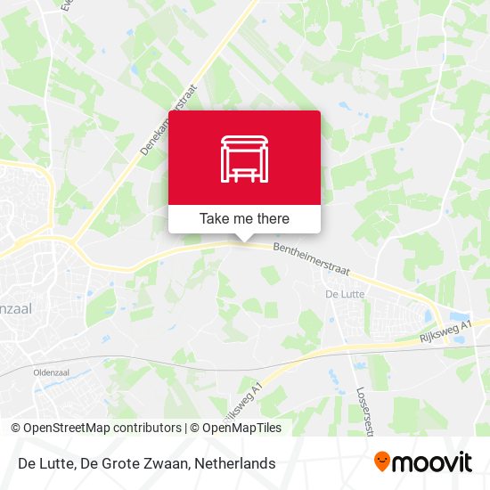 De Lutte, De Grote Zwaan map