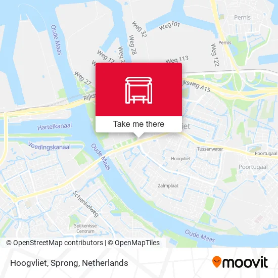 Hoogvliet, Sprong map