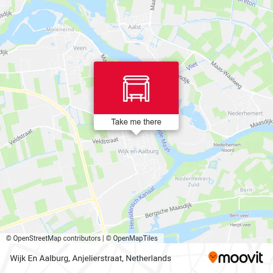 Wijk En Aalburg, Anjelierstraat map